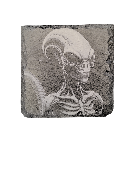 Alien Coaster